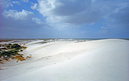 Pt Gibbon Beach Camp Campground