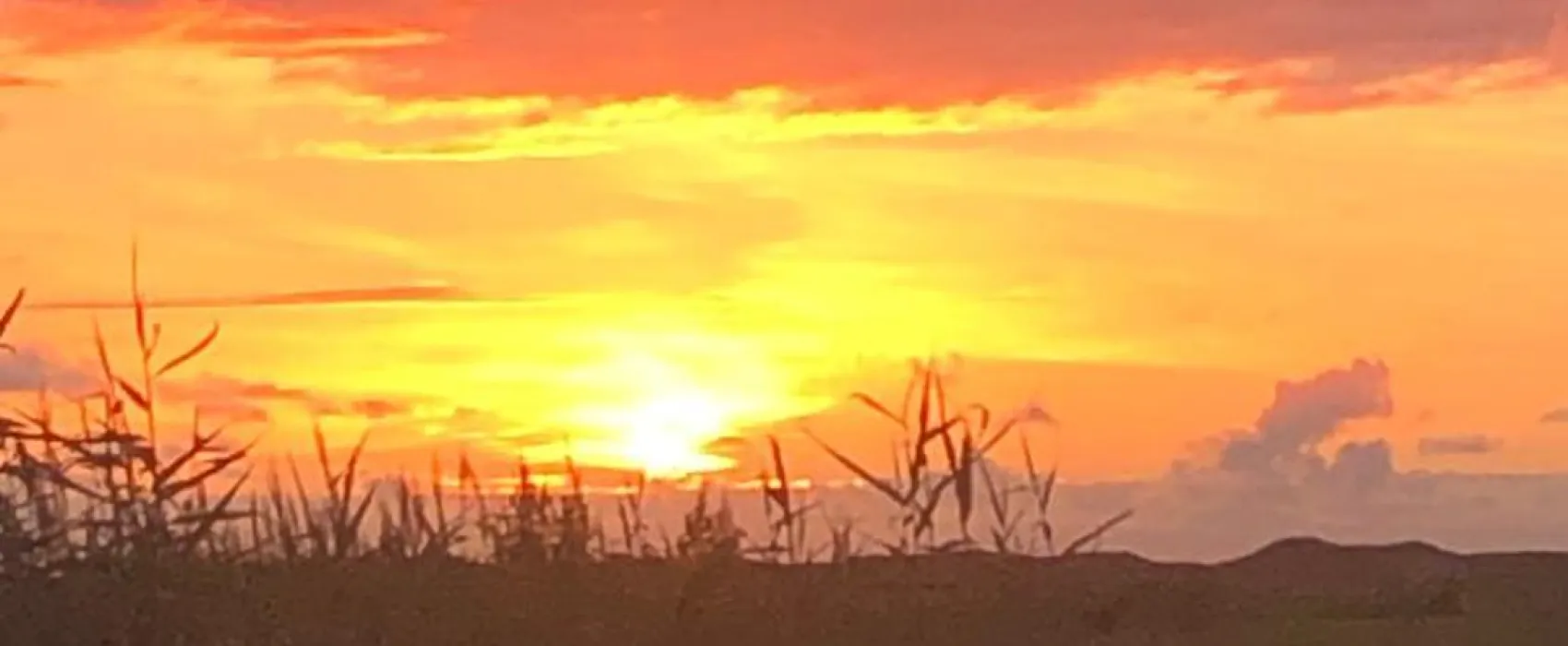 Boerderijcamping Texel