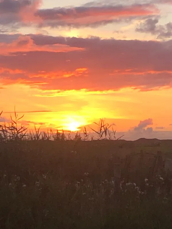 Boerderijcamping Texel