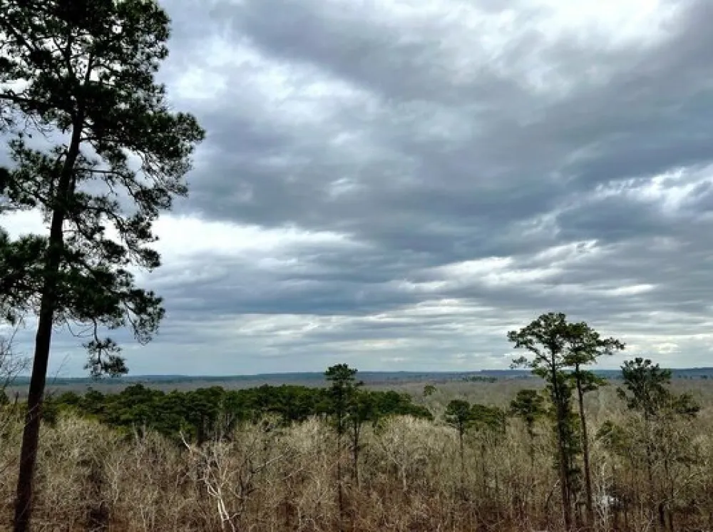 Neches Bluff Overlook