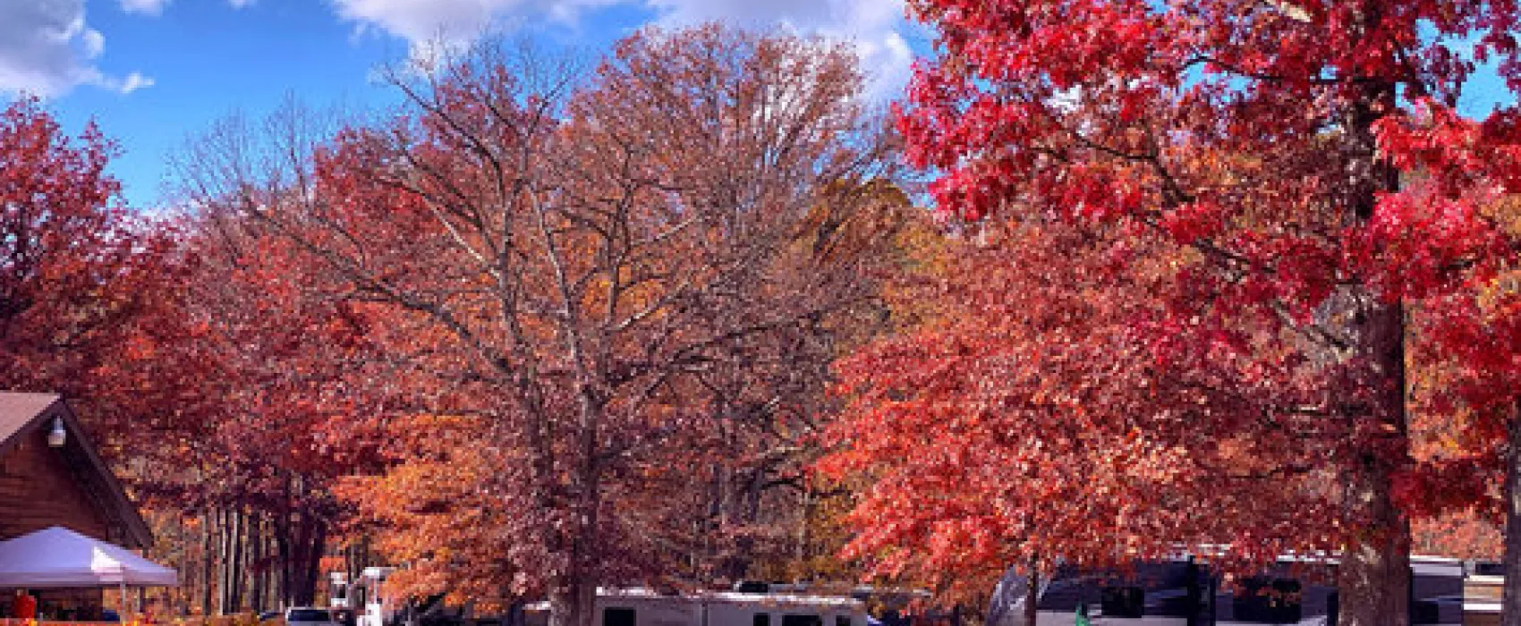 Benner's Meadow Run Camping & Cabins