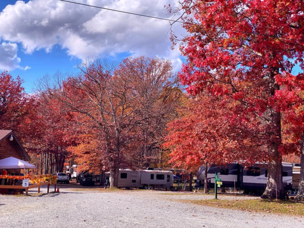 Benner's Meadow Run Camping & Cabins