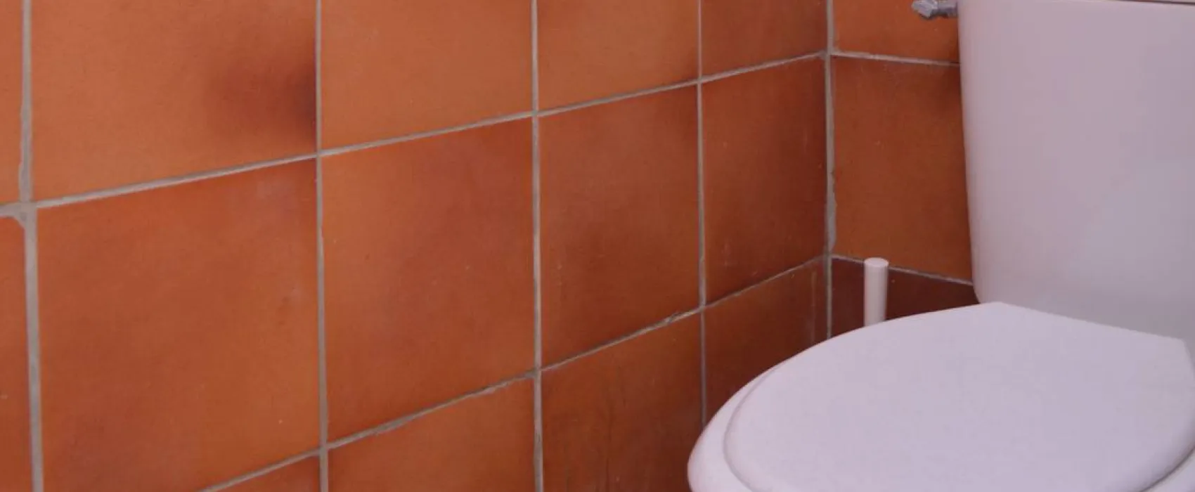 Camping du bois joli