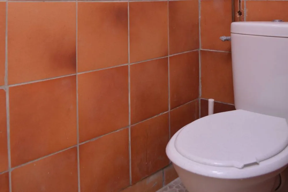 Camping du bois joli