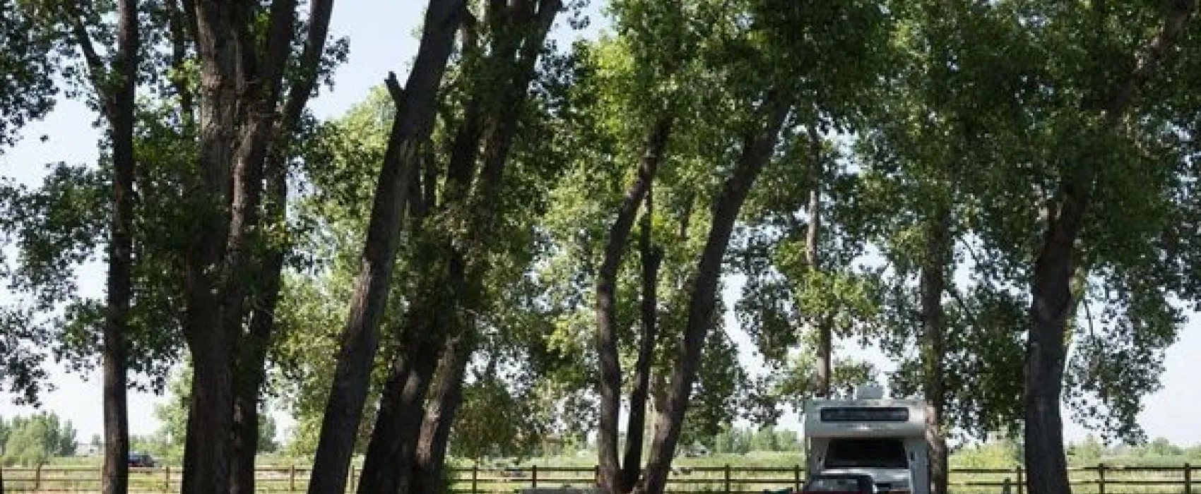 St. Vrain State Park Campground