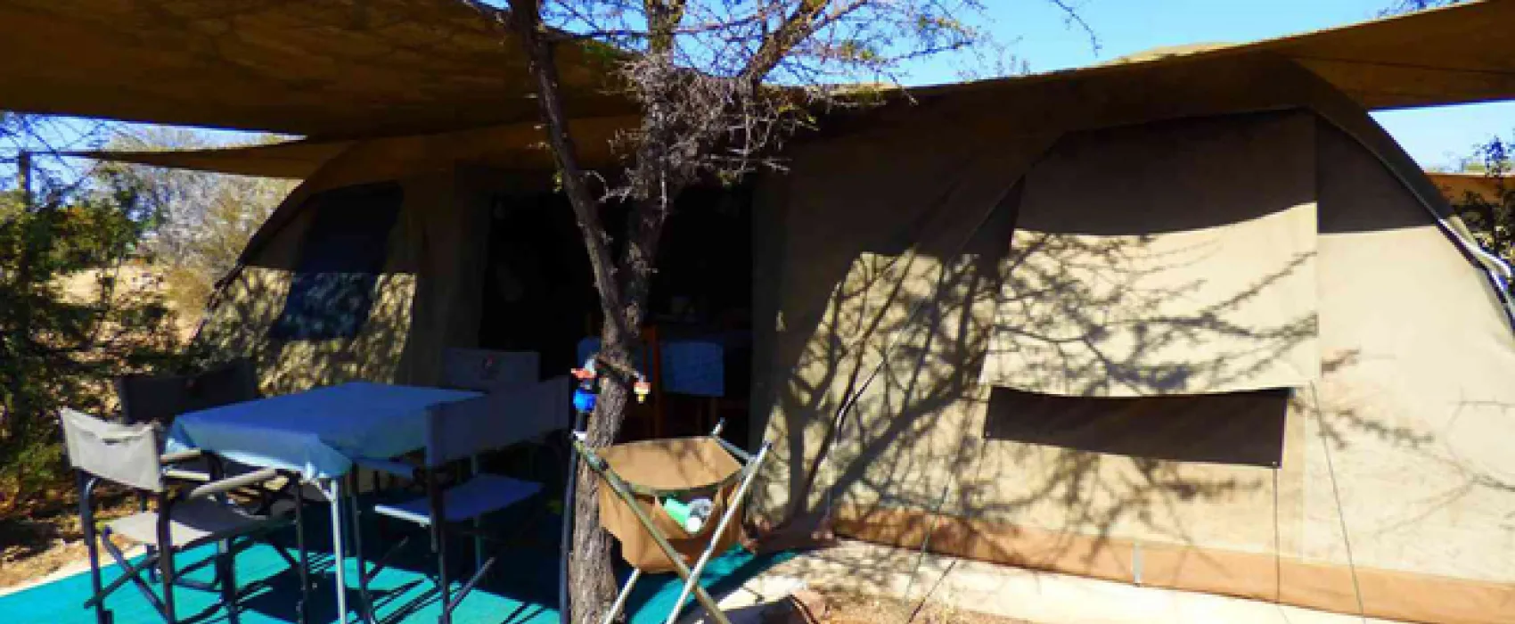 Thorn Tree Bush Camp