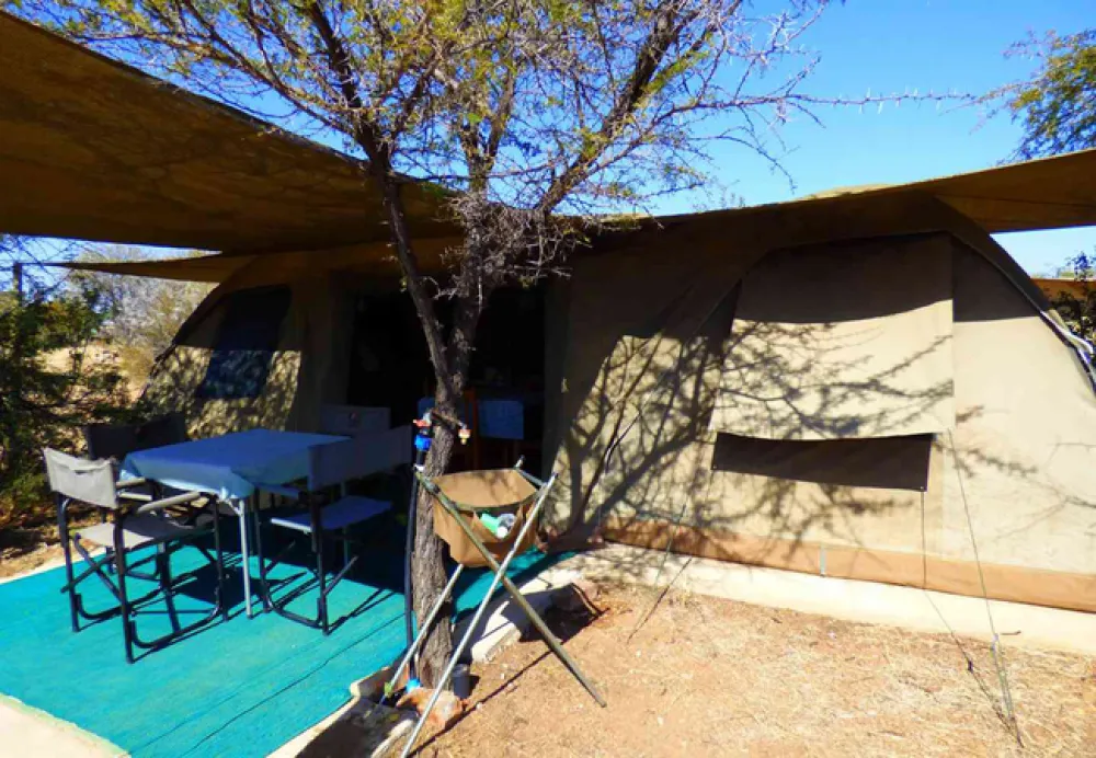 Thorn Tree Bush Camp