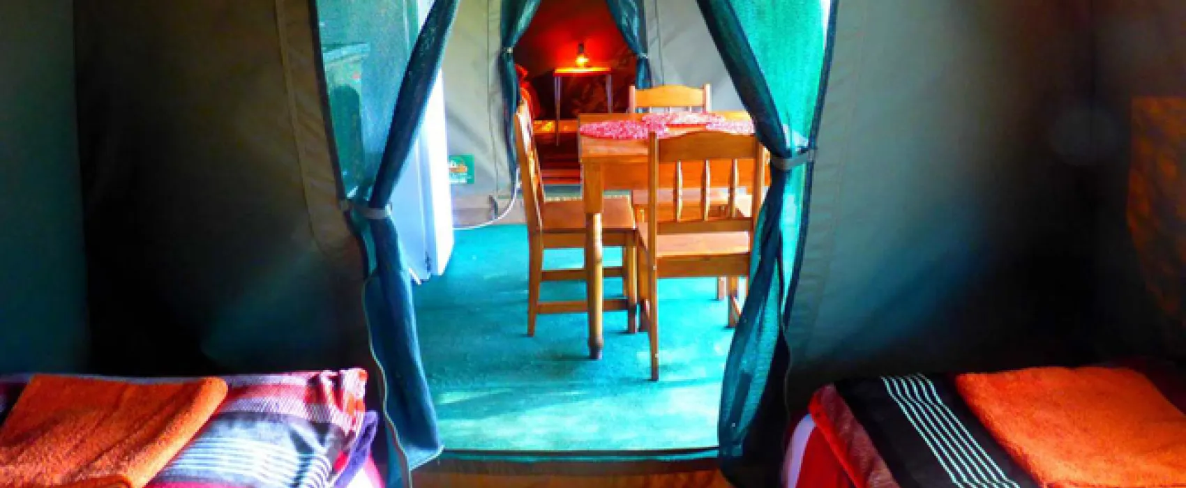 Thorn Tree Bush Camp