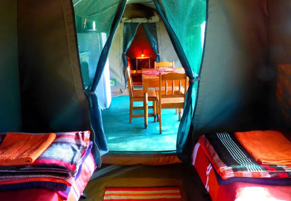 Thorn Tree Bush Camp