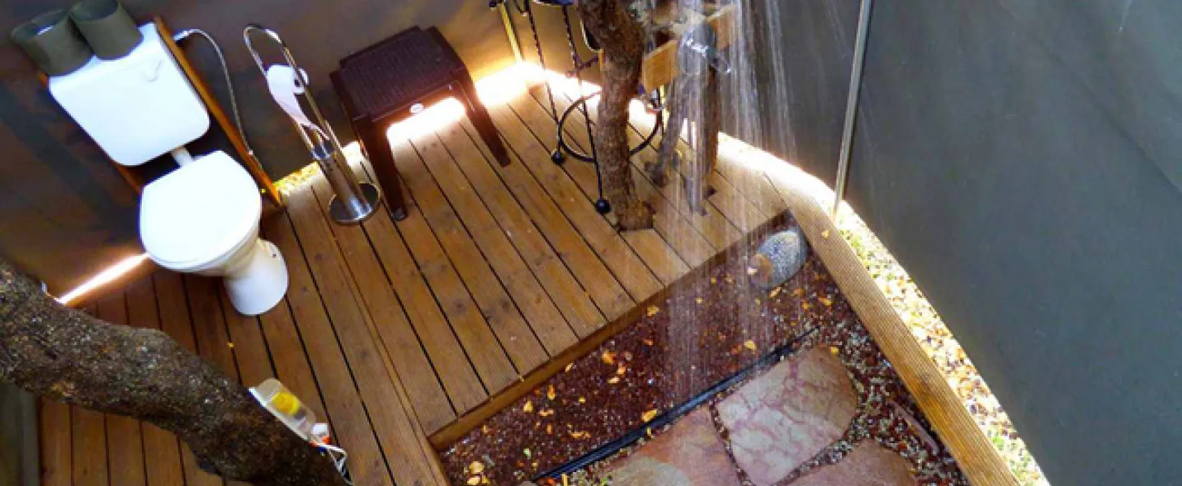 Thorn Tree Bush Camp