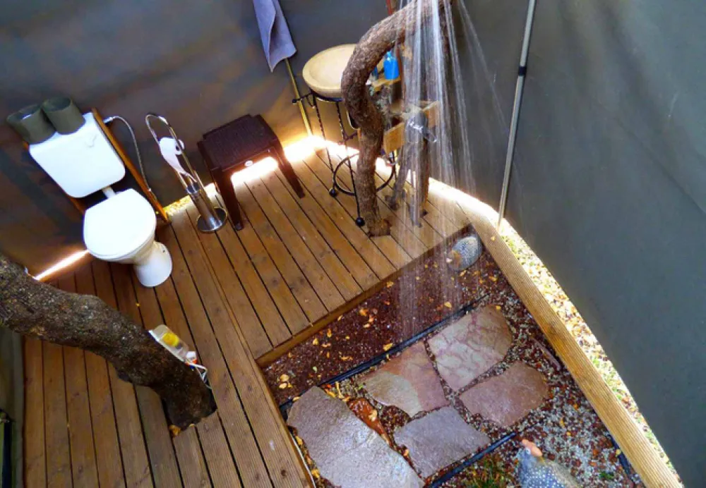 Thorn Tree Bush Camp