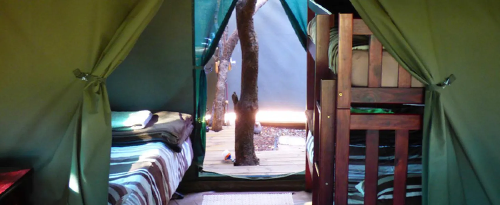 Thorn Tree Bush Camp