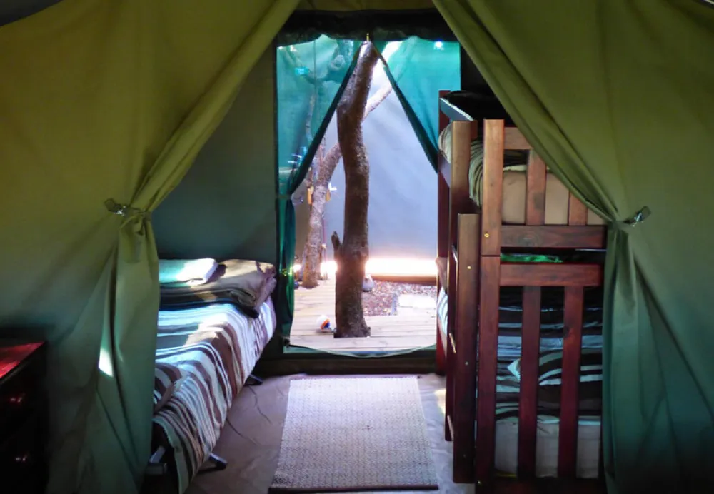 Thorn Tree Bush Camp