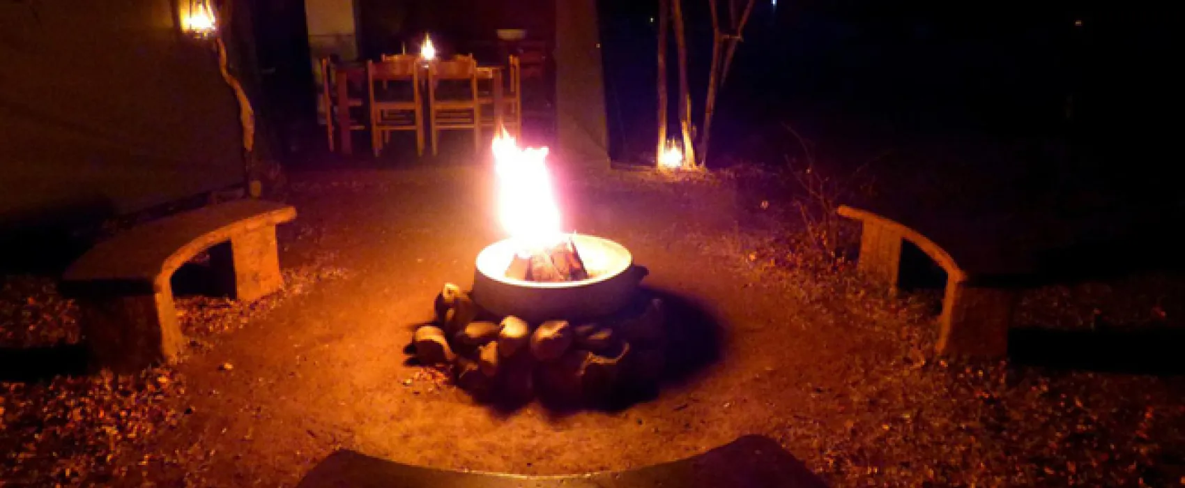 Thorn Tree Bush Camp