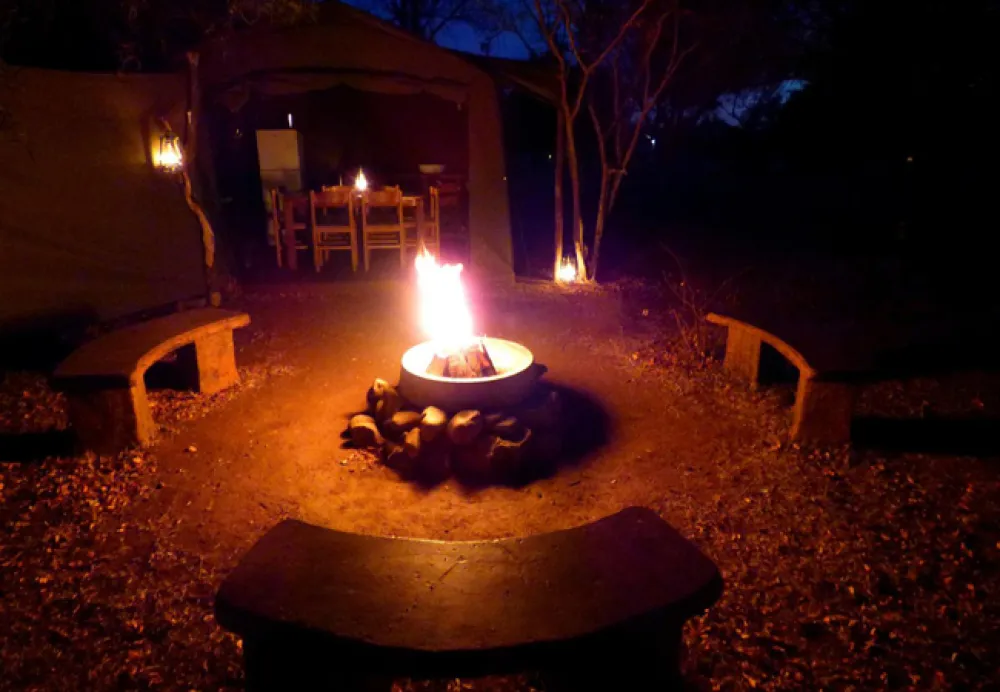 Thorn Tree Bush Camp