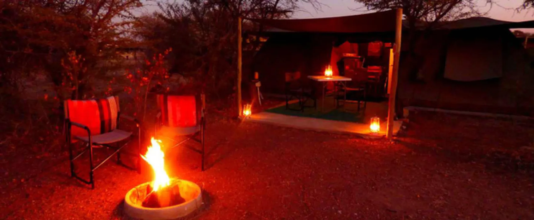 Thorn Tree Bush Camp