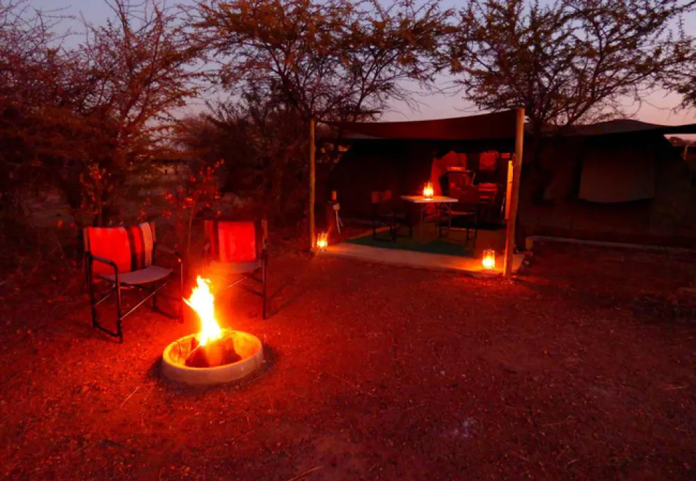 Thorn Tree Bush Camp
