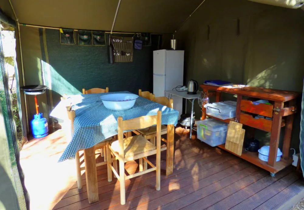 Thorn Tree Bush Camp