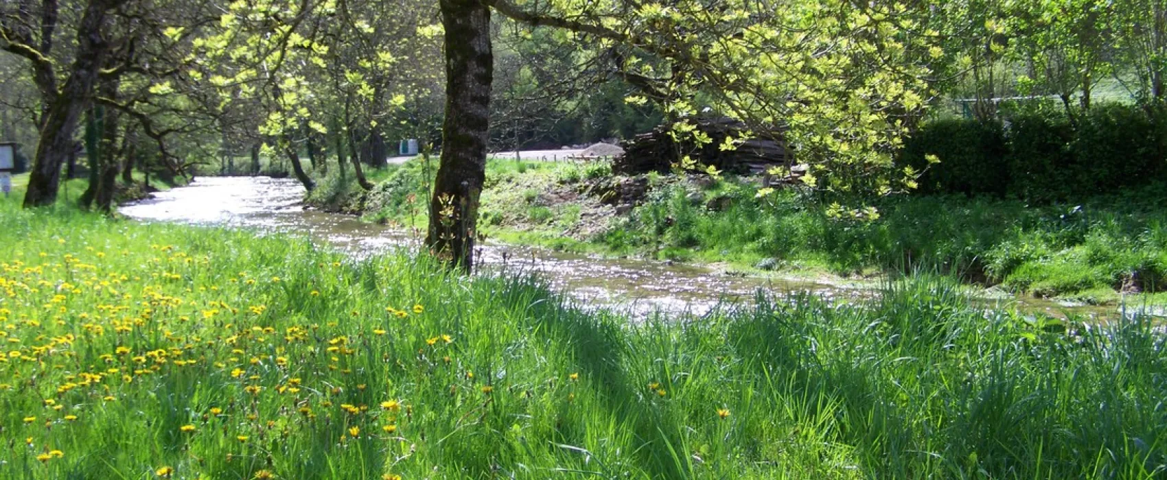 Municipal de la Toupe