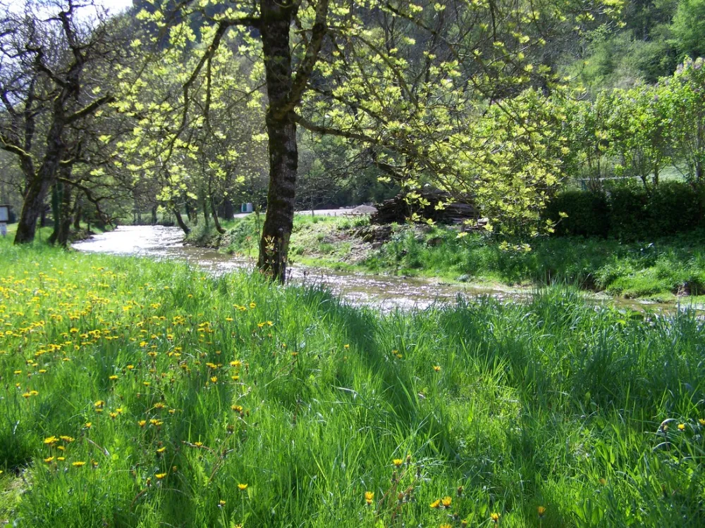 Municipal de la Toupe