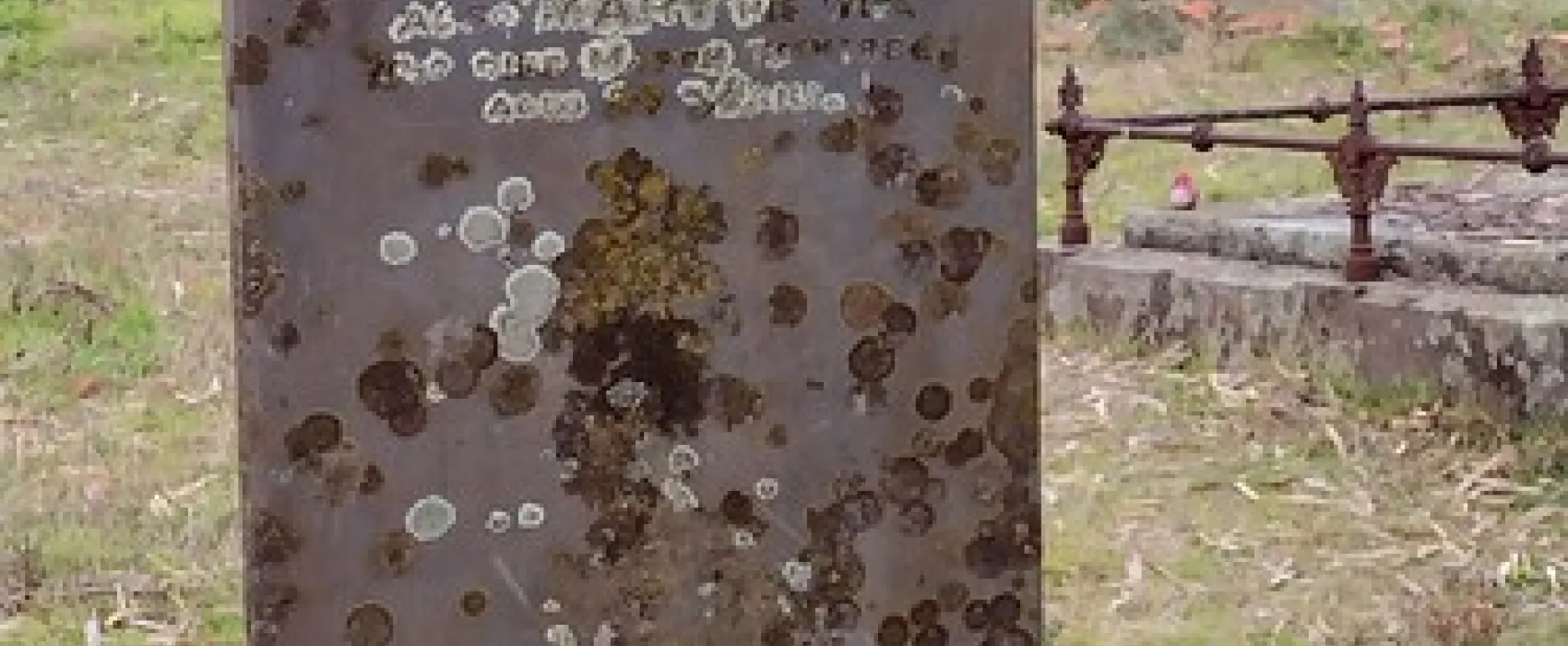 Maldon Historic (Butts) Reserve Campground