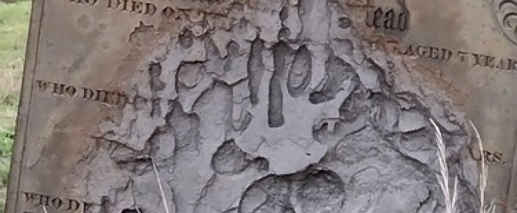 Maldon Historic (Butts) Reserve Campground