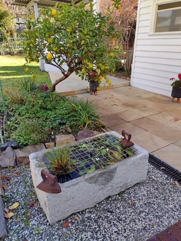 Maldon Historic (Butts) Reserve Campground