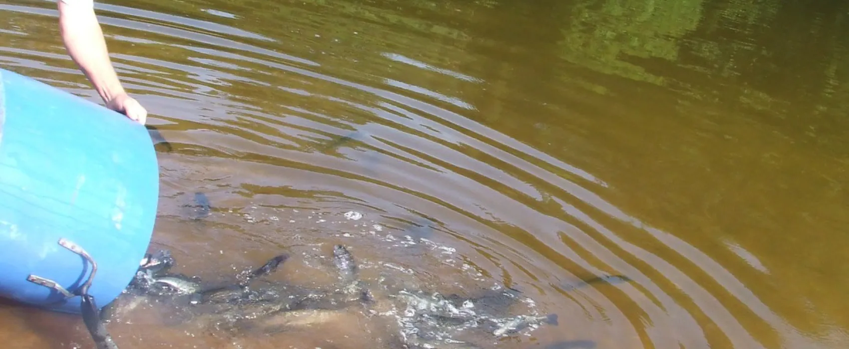 Municipal de Saint Quirin