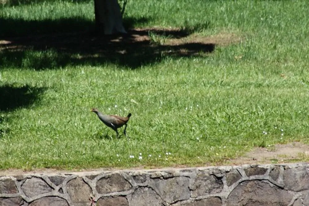 LaTrobe Overnight Camp site Campground