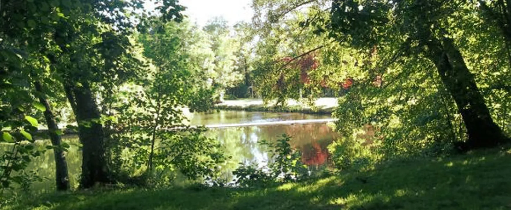 Municipal des Aulnes