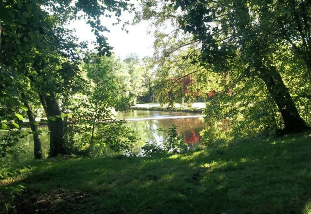 Municipal des Aulnes