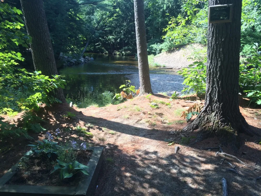 Okie Dokie Fishin Camp