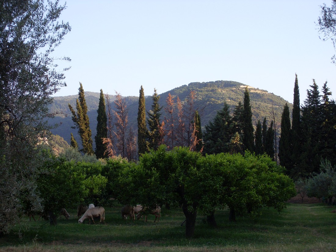 Agricampegguio Salinella - Photo 3