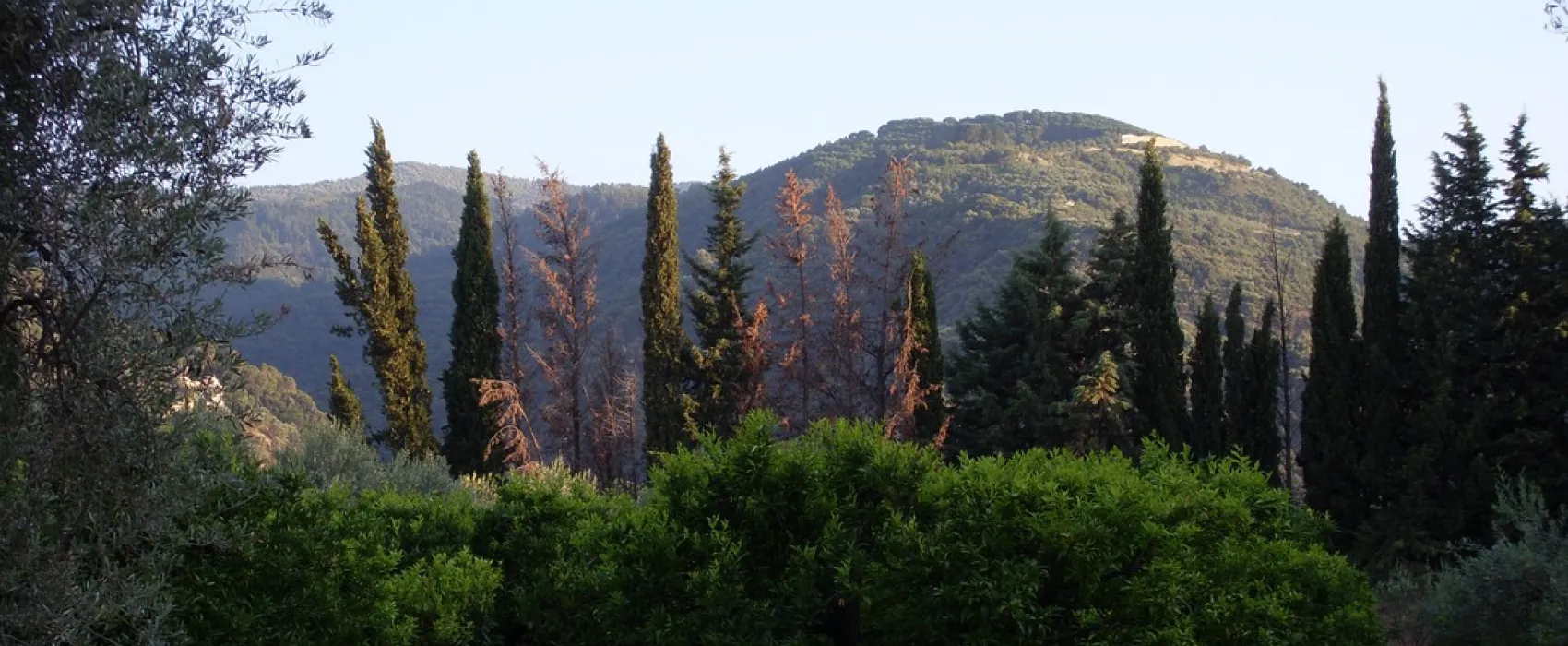 Agricampegguio Salinella