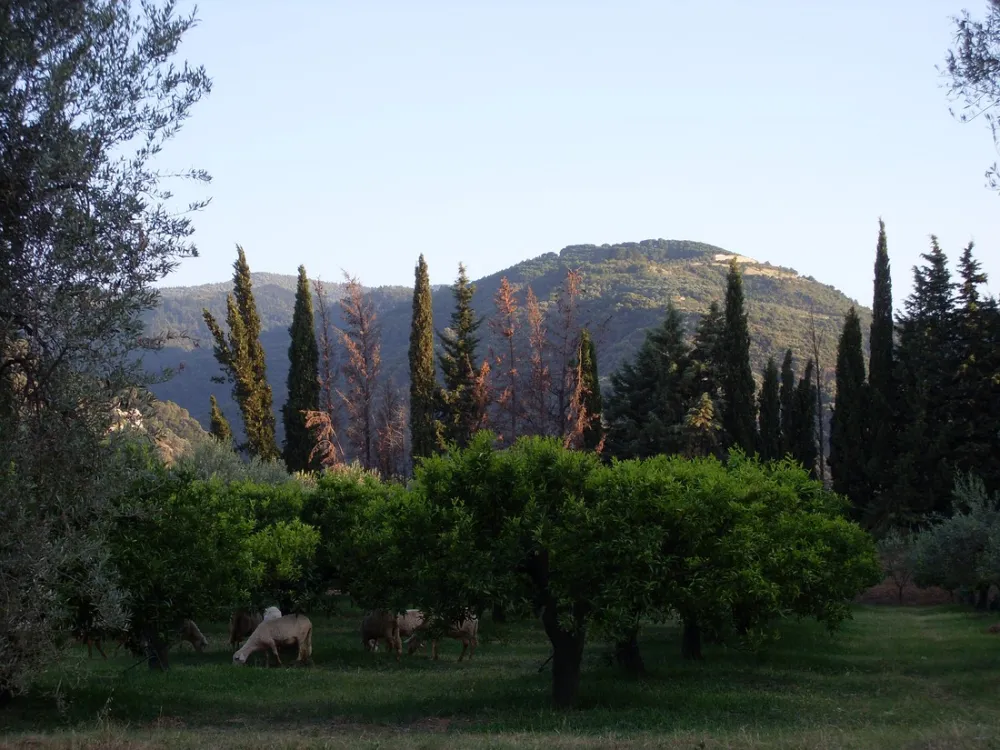 Agricampegguio Salinella