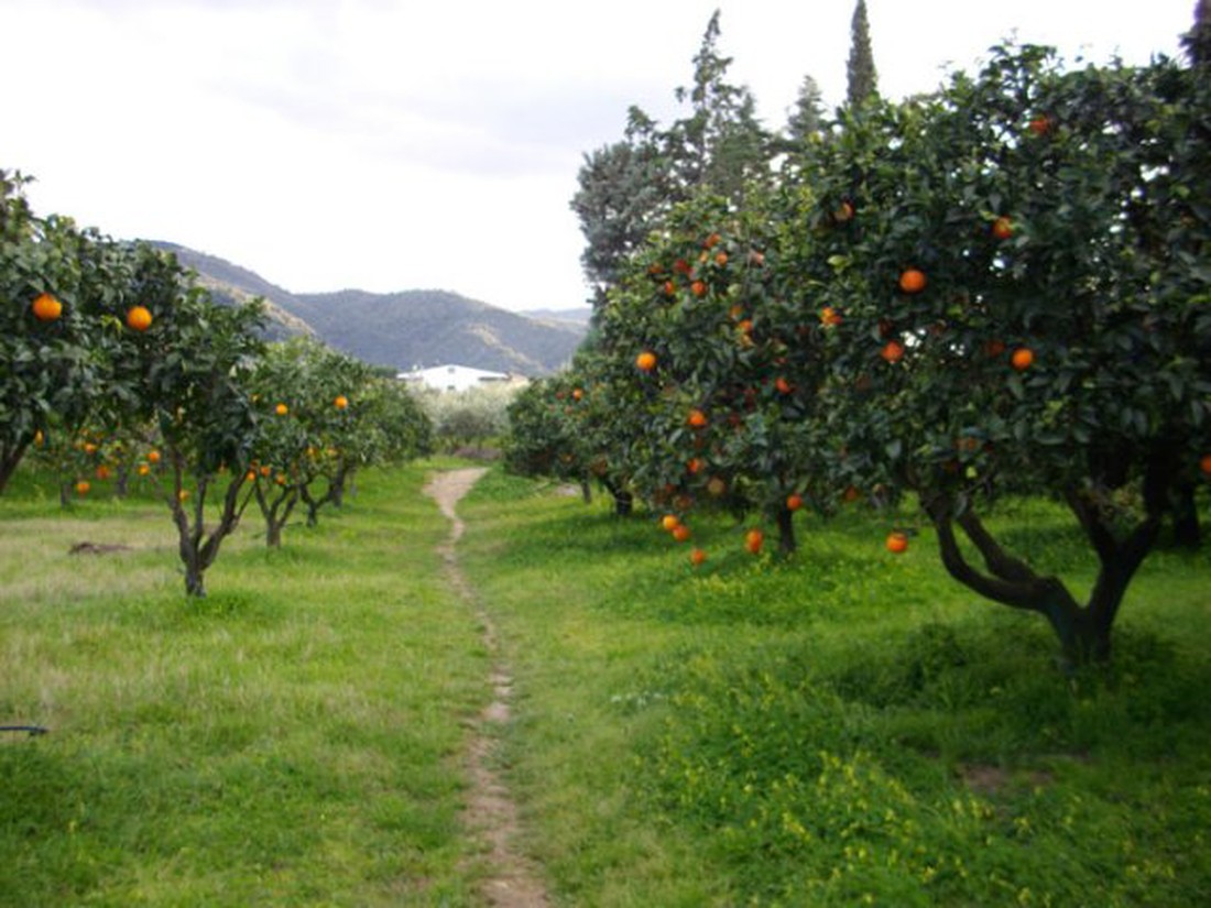 Agricampegguio Salinella - Photo 2