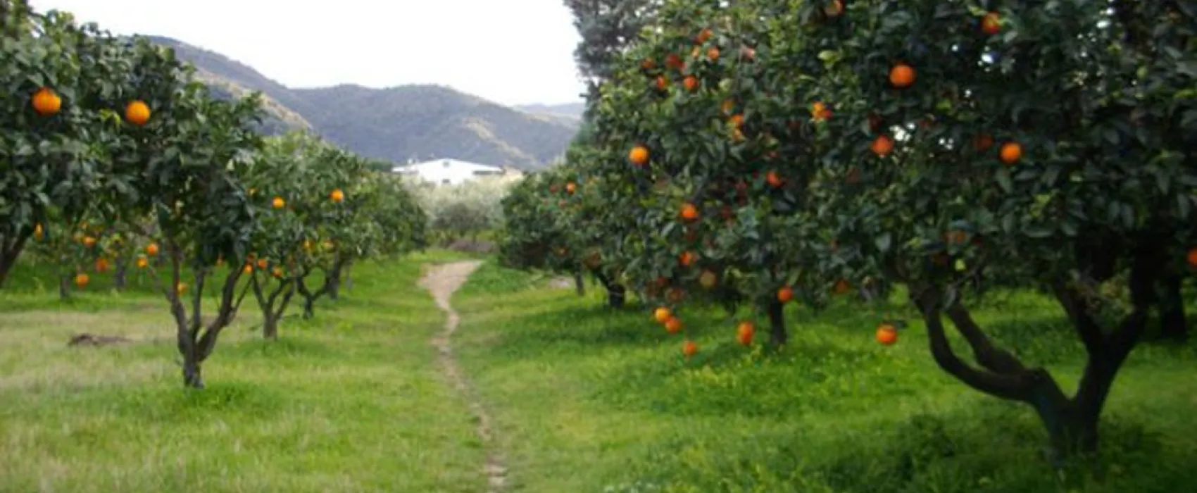 Agricampegguio Salinella