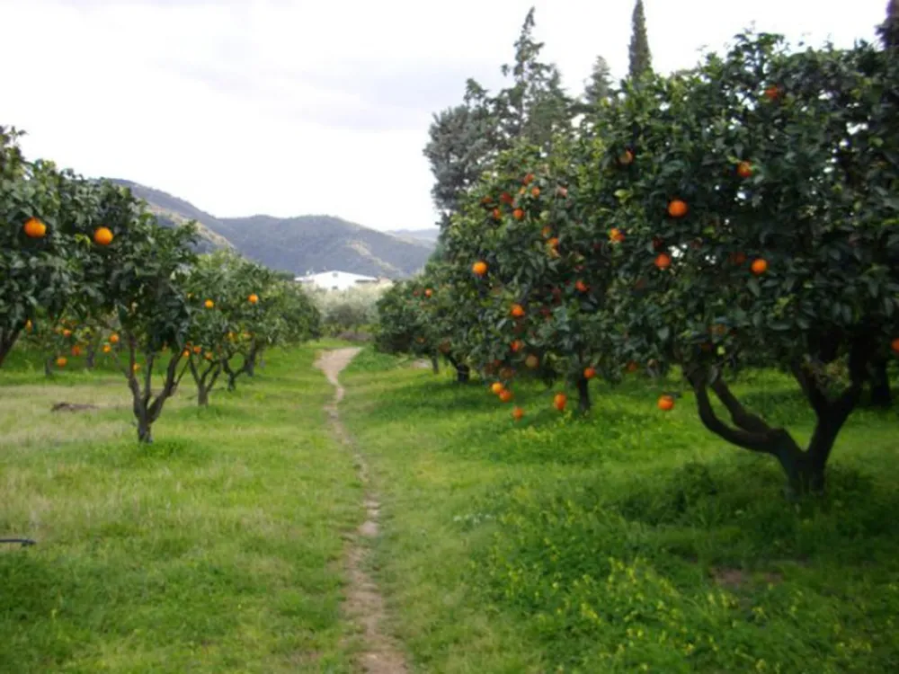 Agricampegguio Salinella