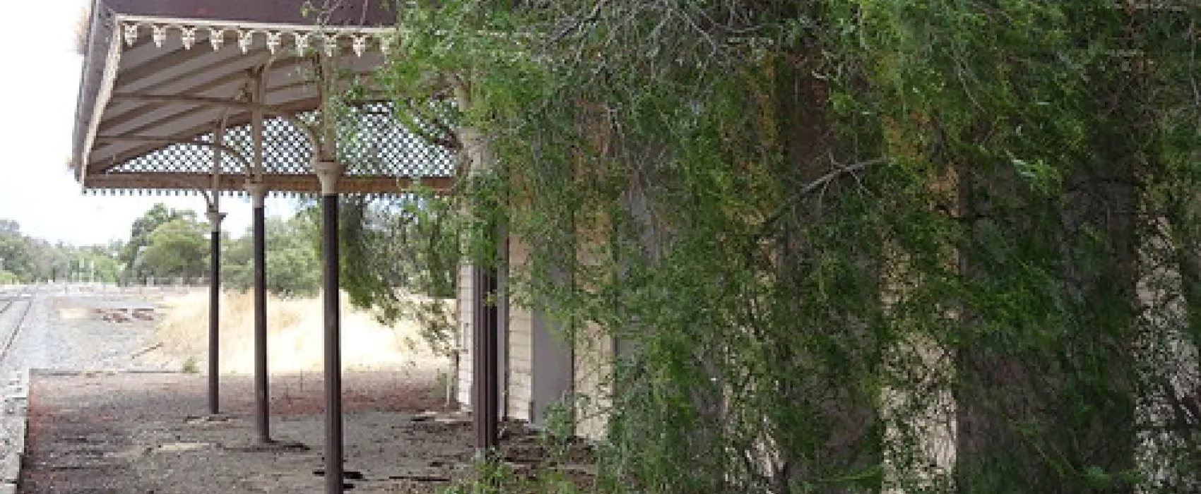 Minyip (Coopers Crossing of flying doctors) Campground