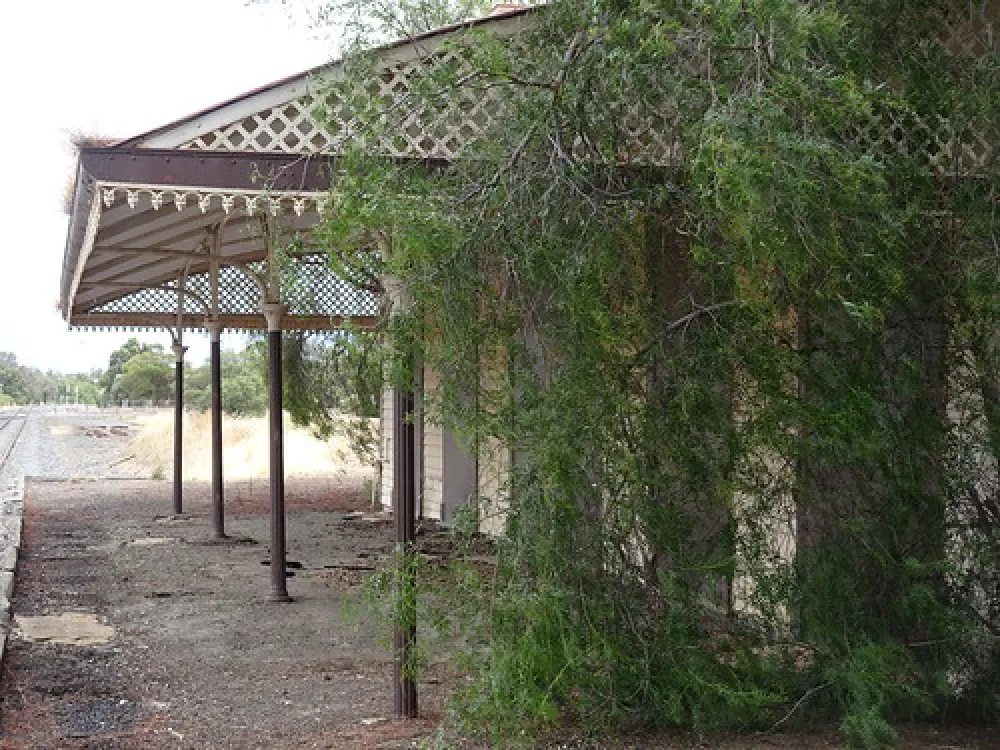 Minyip (Coopers Crossing of flying doctors) Campground