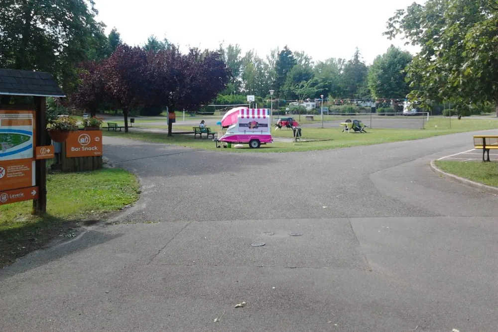 Camping De L'ile Du Rhin