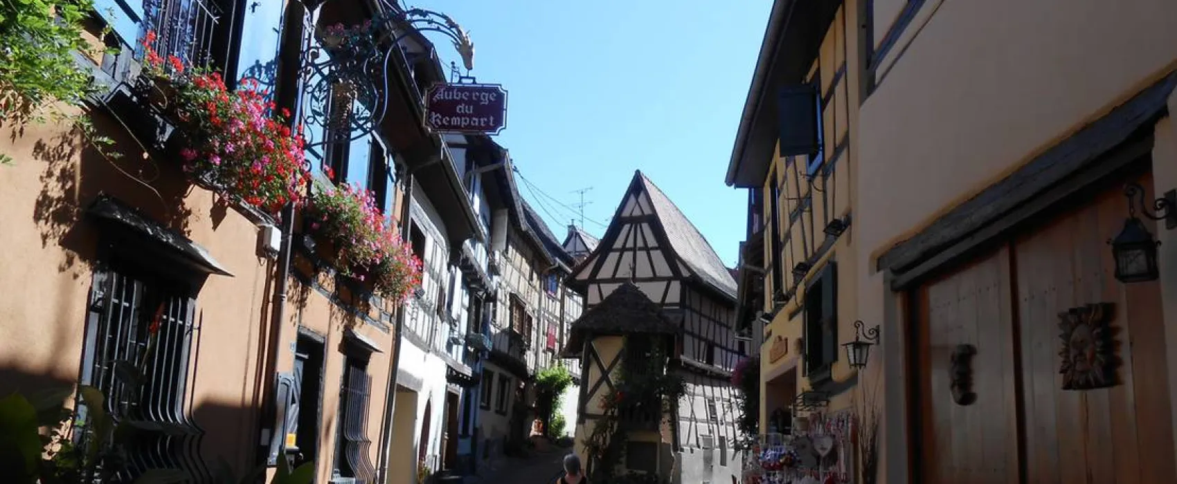 Camping De L'ile Du Rhin