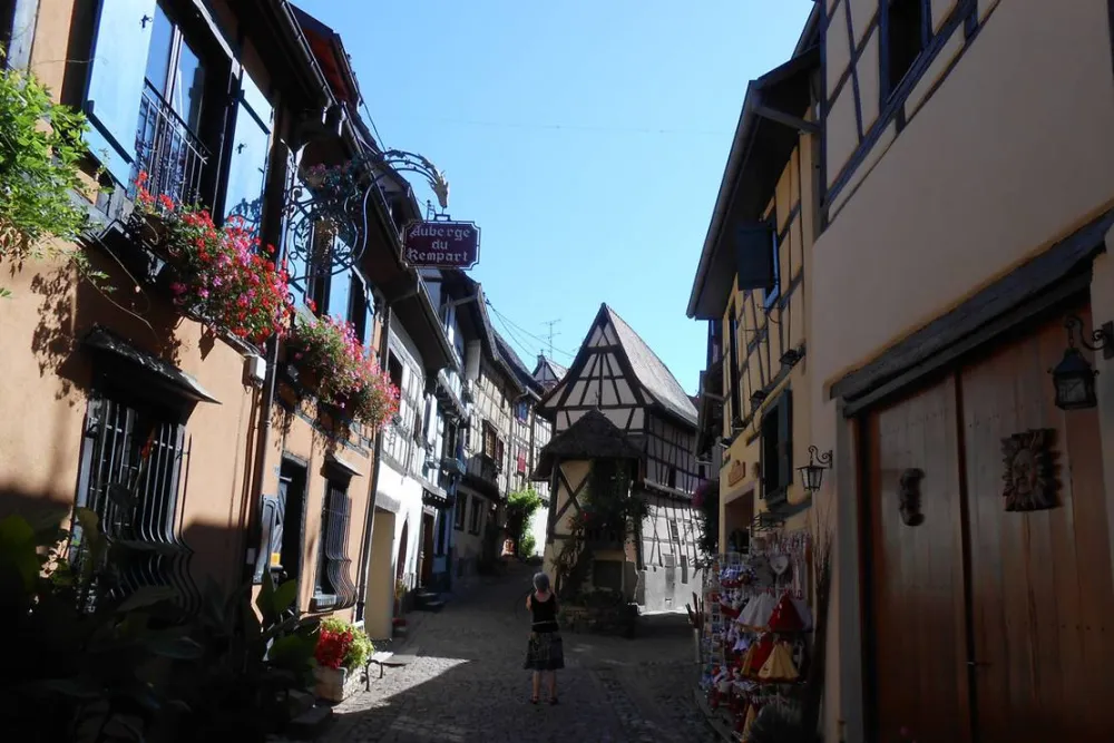 Camping De L'ile Du Rhin