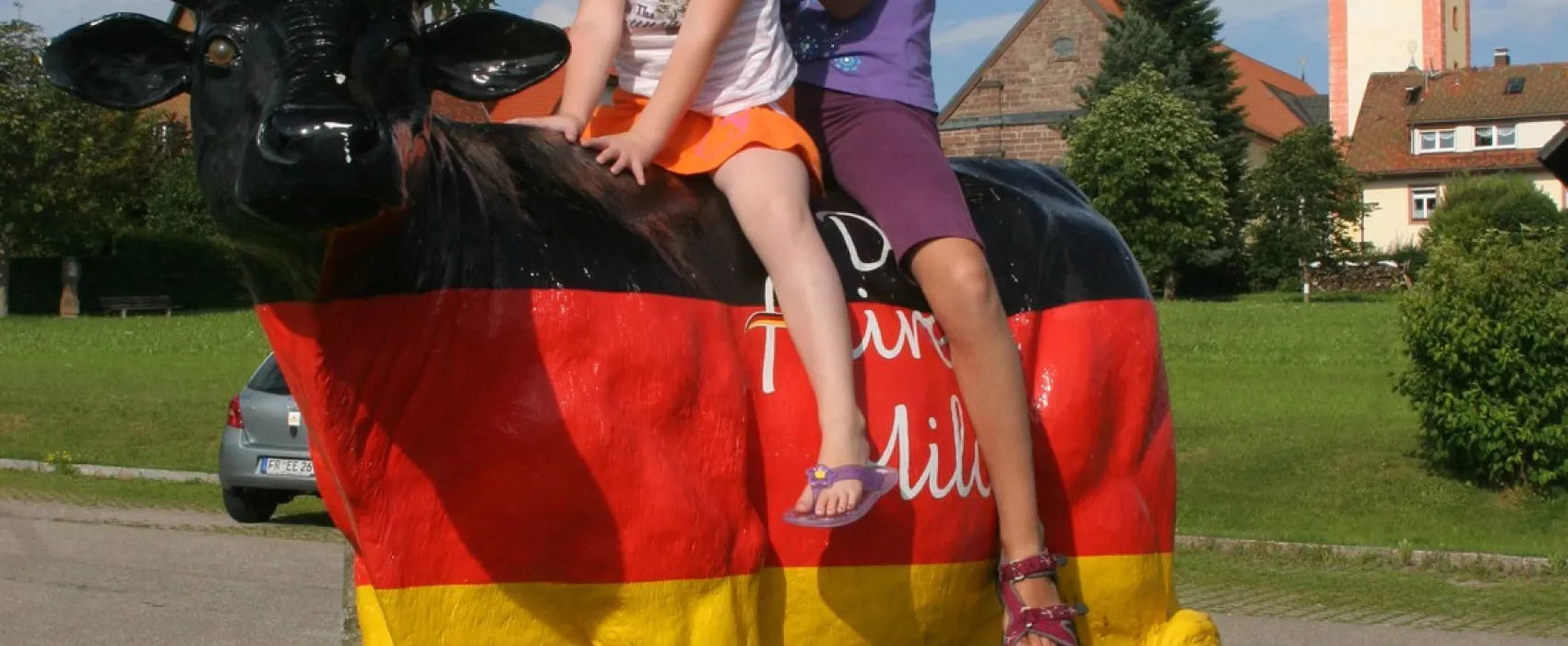 Camping De L'ile Du Rhin