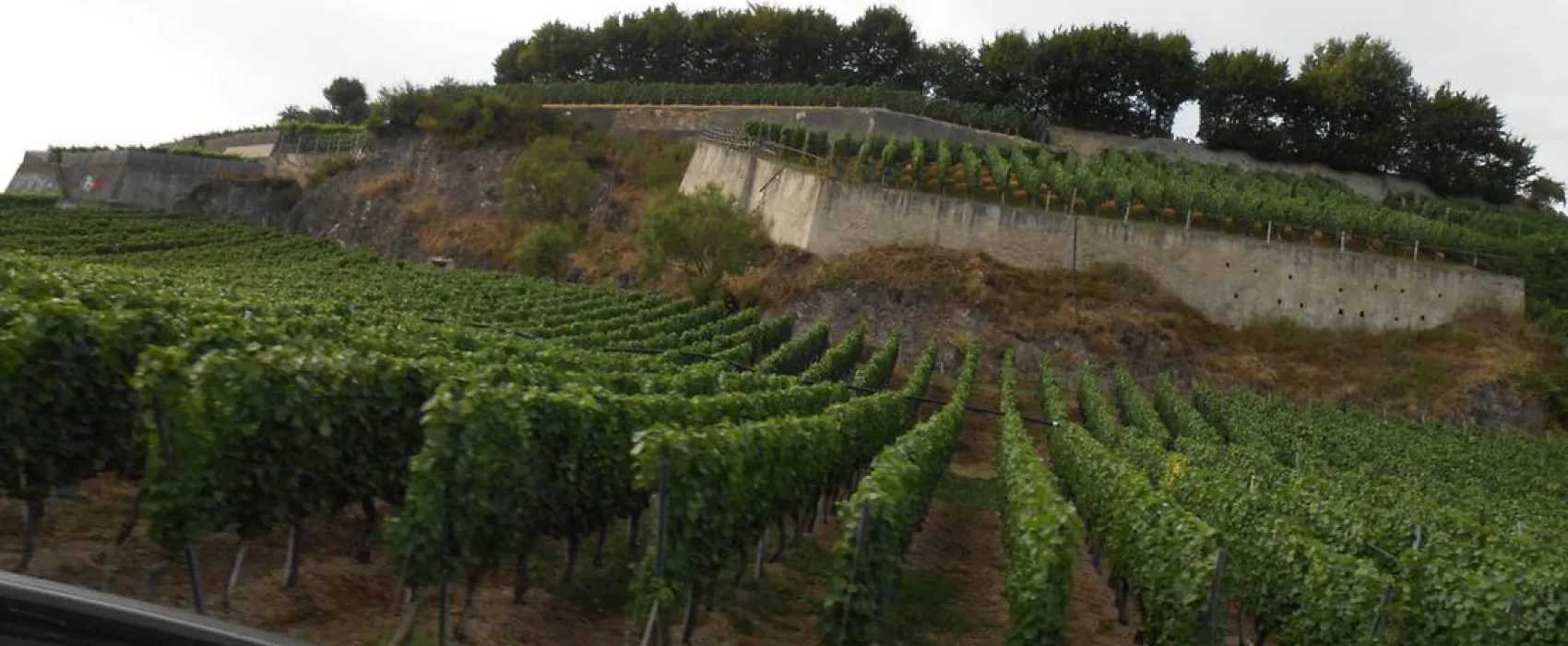 Camping De L'ile Du Rhin