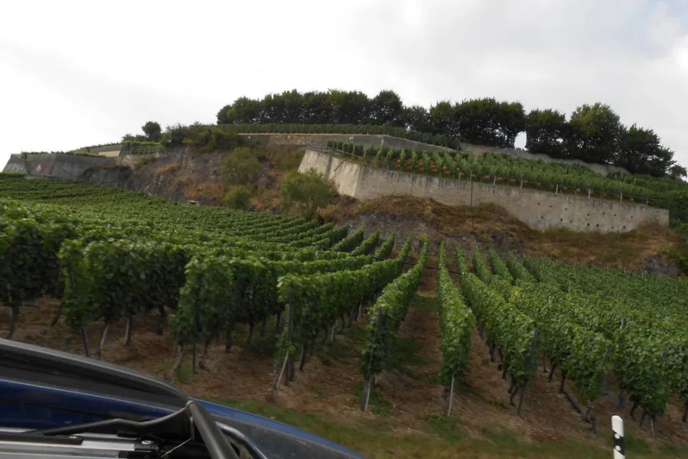 Camping De L'ile Du Rhin