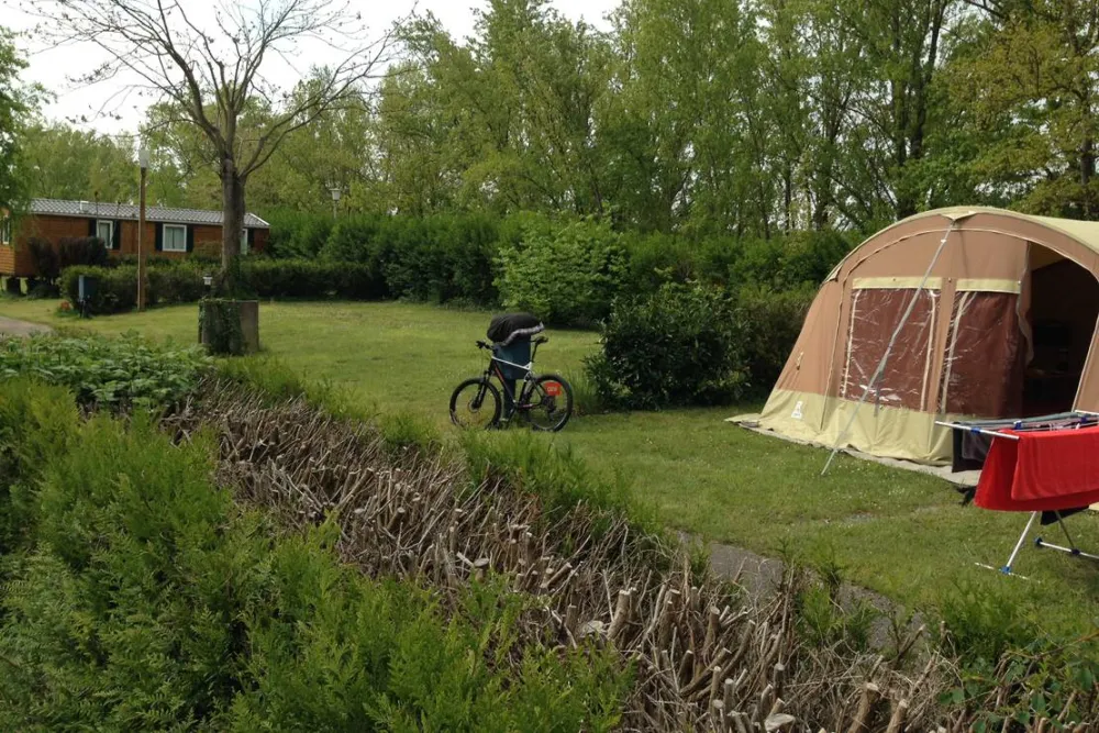 Camping De L'ile Du Rhin
