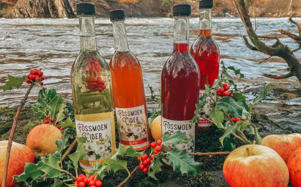 Fossmoen Frukt & Cider