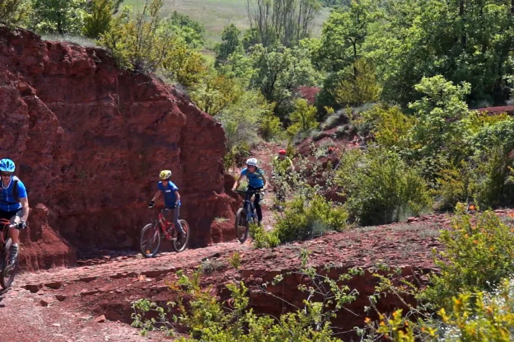 Le Hameau des Genêts