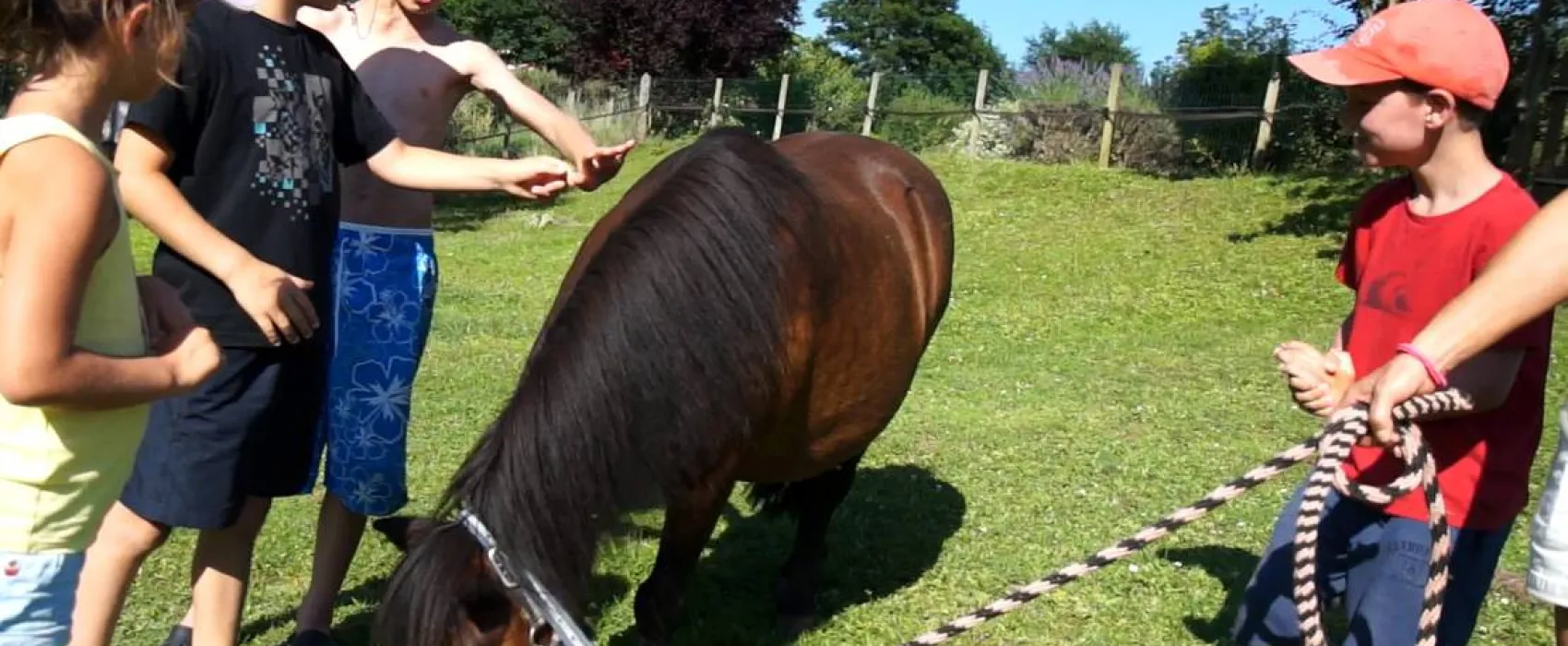 Le Hameau des Genêts
